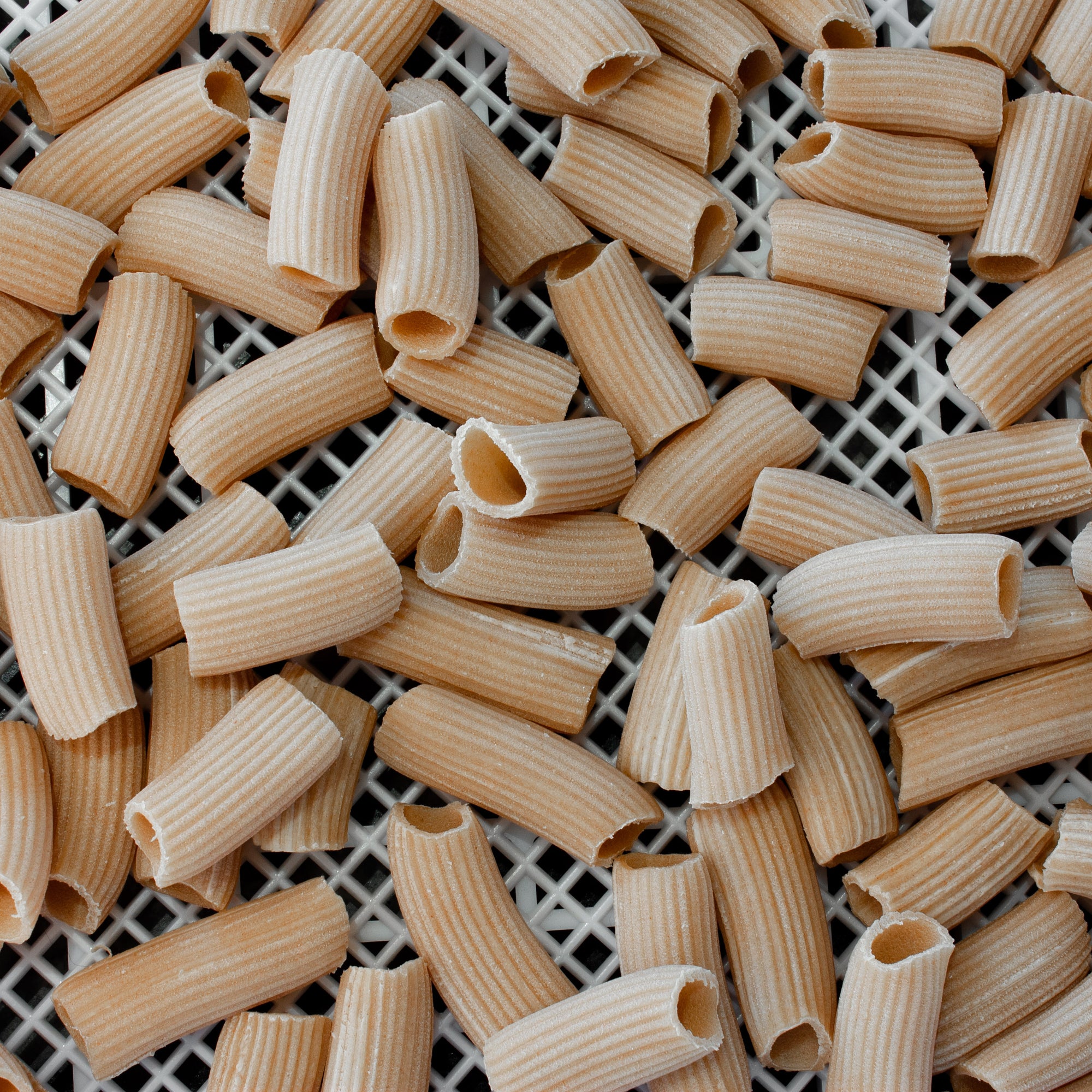 Baked Rigatoni alla Calabria