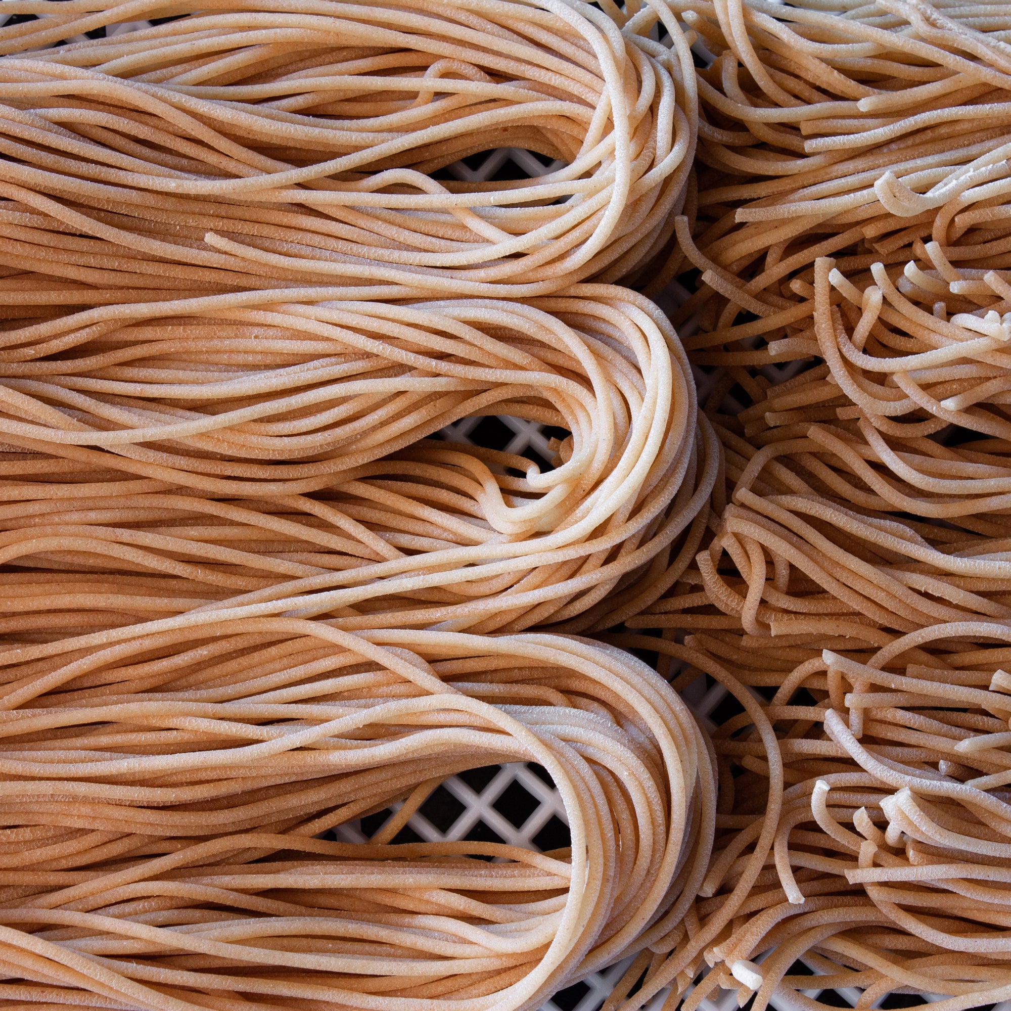 spaghetti fresh pasta, fresh spaghetti. spaghetti and meatballs