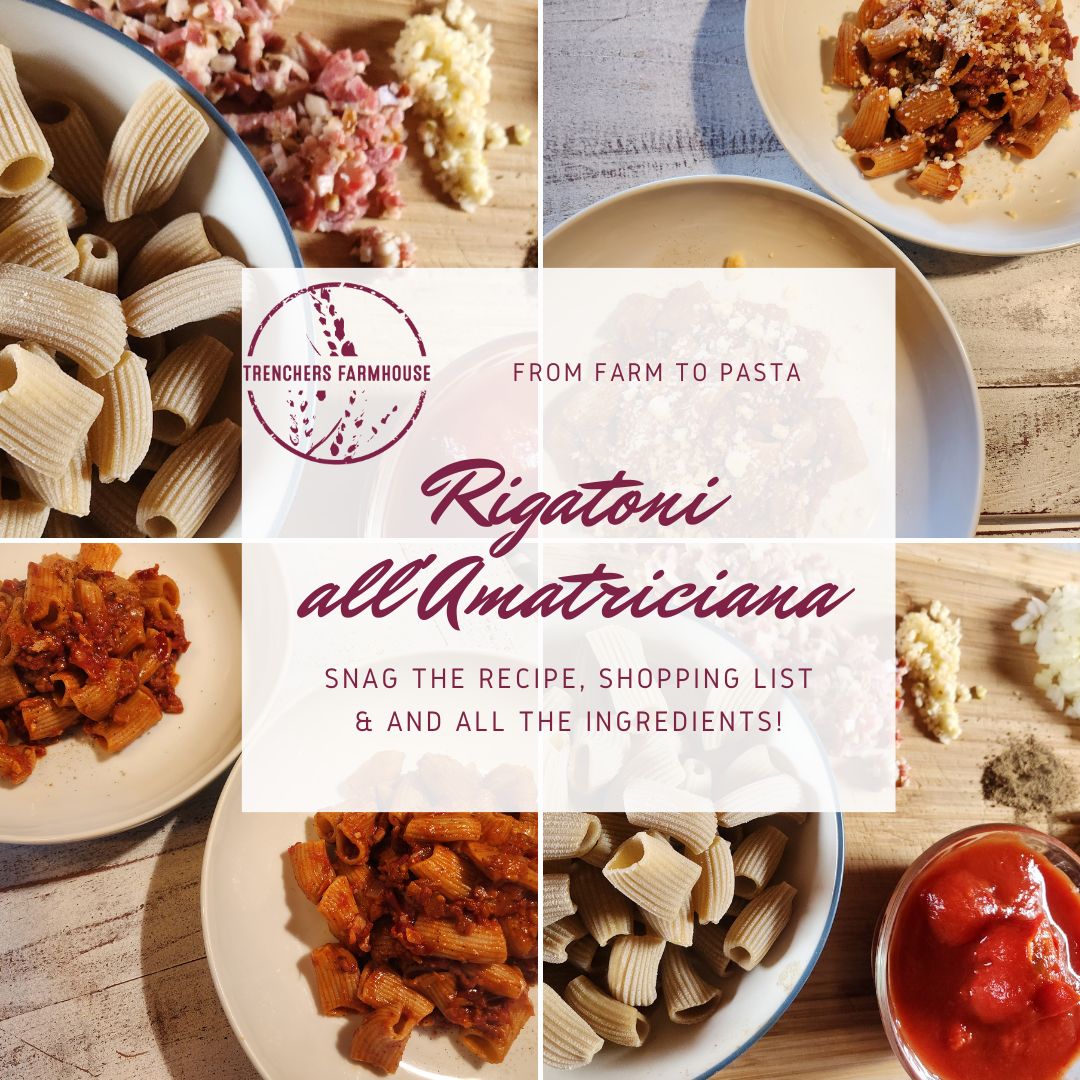 Rigatoni all'Amatriciana recipe photo. fresh pasta in southern italian tomato sauce