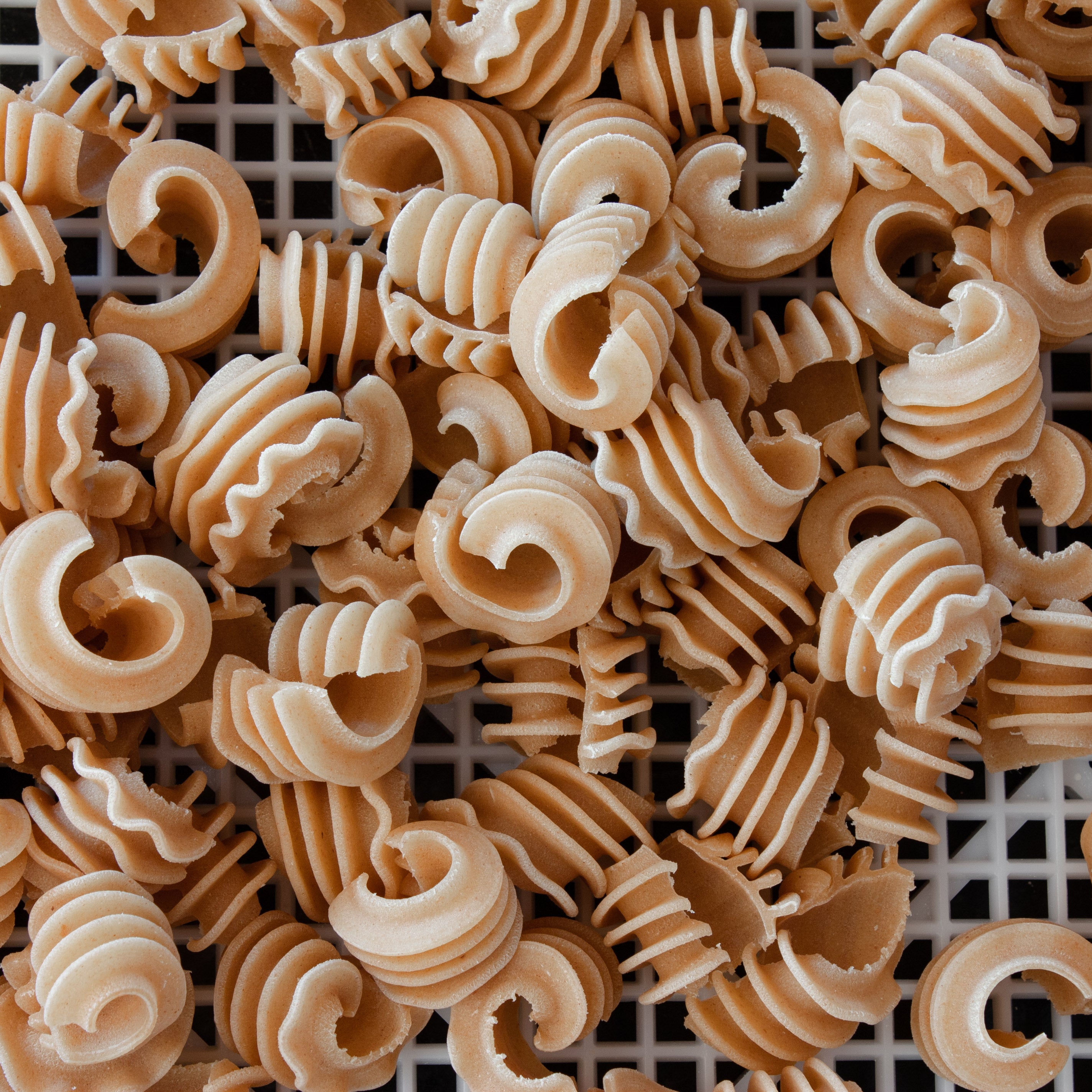 Radiatori fresh pasta made in vermont by Trenchers Farmhouse