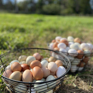 Farm Raised Eggs